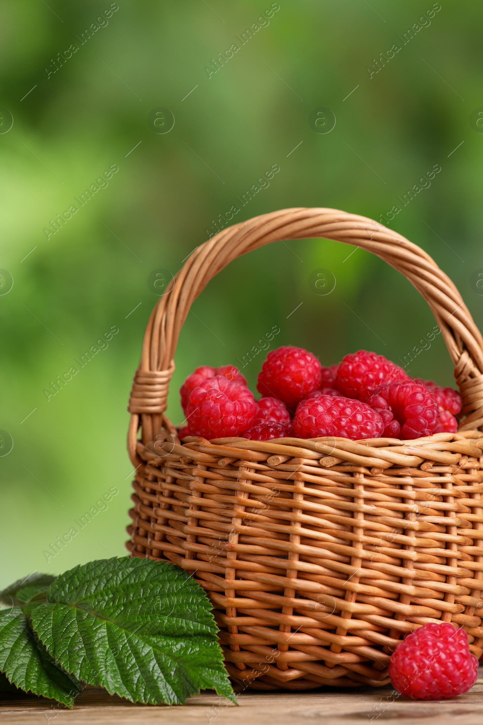 Photo of Wicker basket with tasty ripe raspberries and green leaves on table against blurred background, closeup