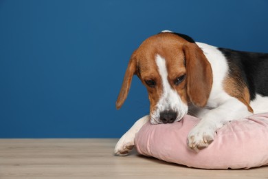 Photo of Adorable Beagle dog with pillow on floor against dark blue background. Space for text