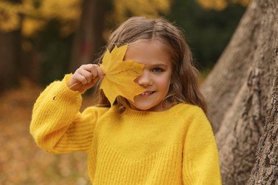 Portrait of cute girl covering face with dry leaf in autumn park