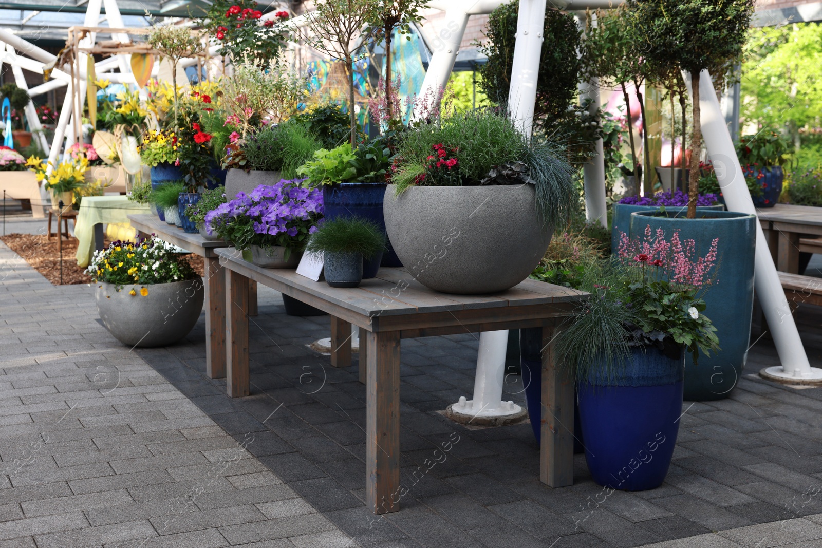 Photo of Many different potted flowers on wooden tables outdoors