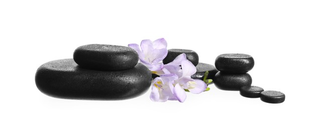 Photo of Beautiful violet freesia flowers and stones isolated on white