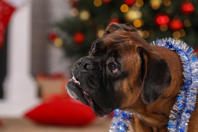Photo of Cute dog with colorful tinsel in room decorated for Christmas, closeup