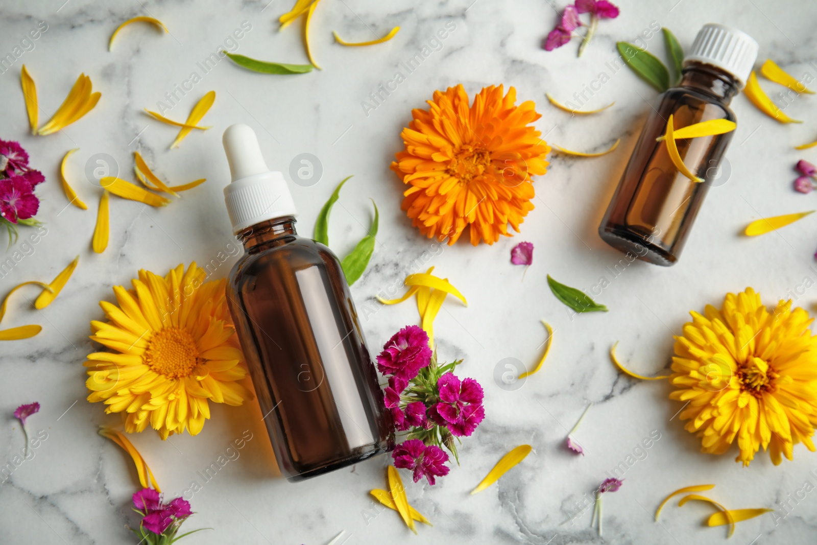 Photo of Flat lay composition with essential oils and flowers on marble background