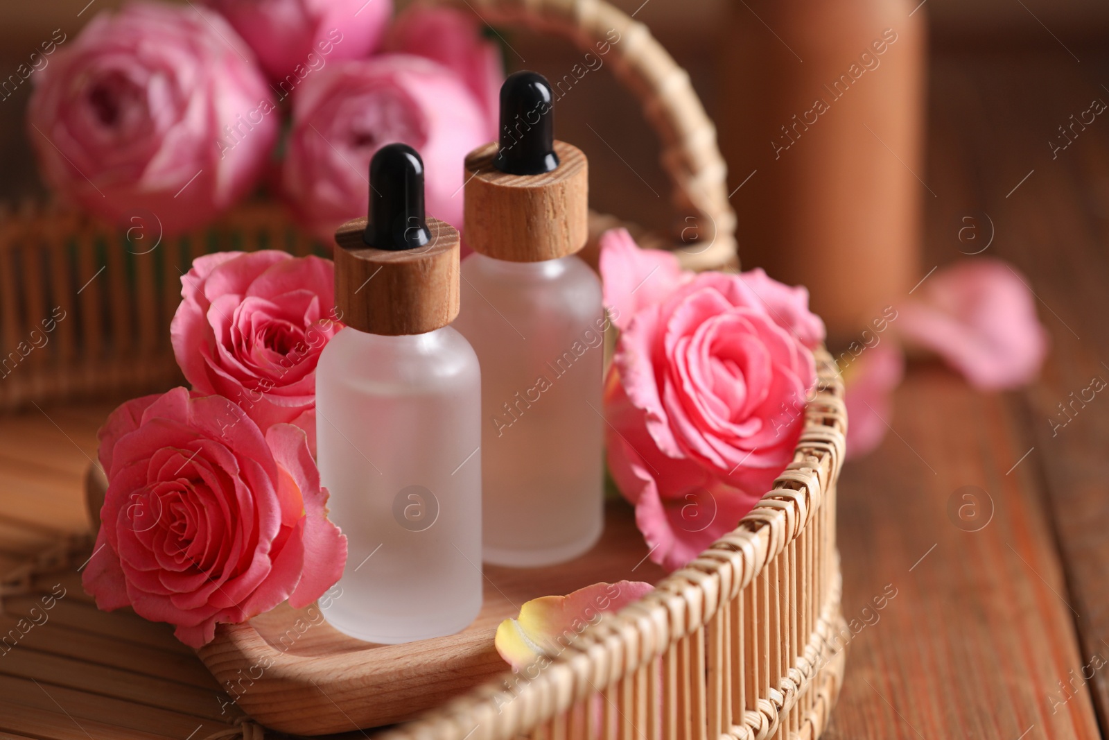 Photo of Tray with bottles of essential rose oil and flowers on wooden table, closeup