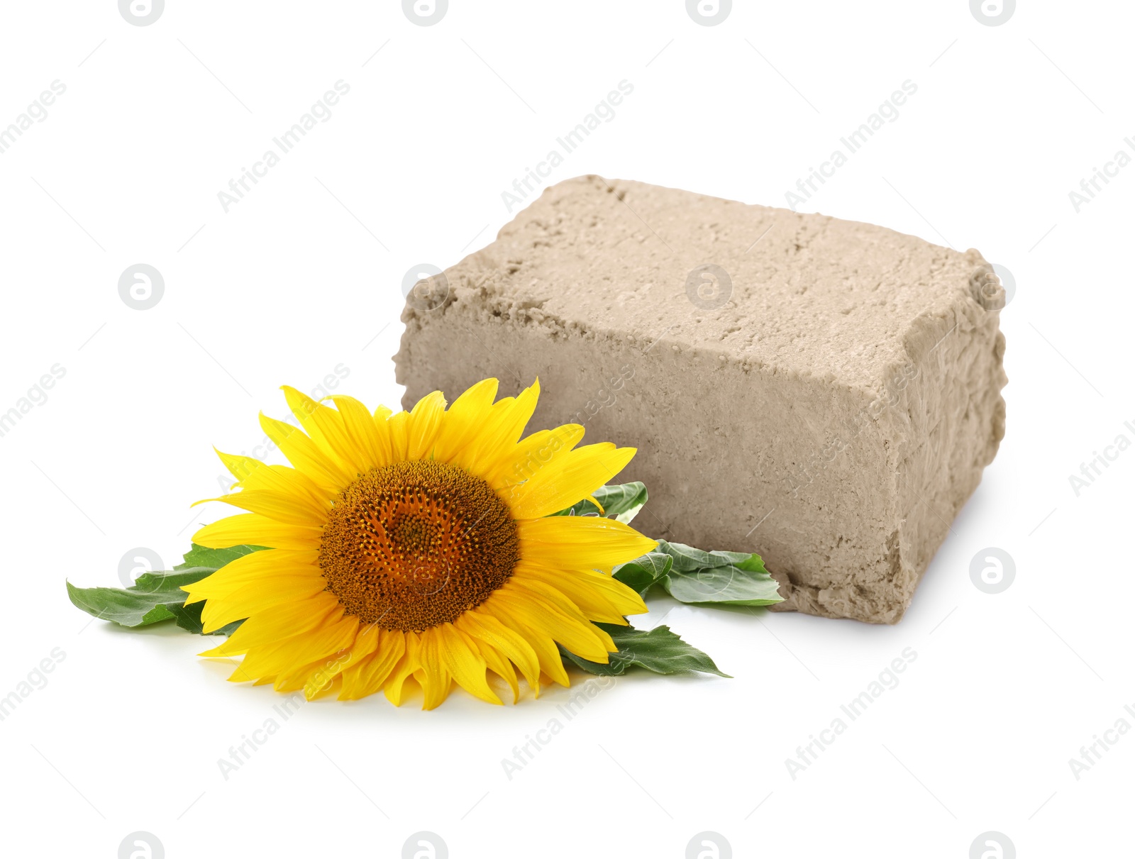 Image of Tasty halva and sunflower isolated on white