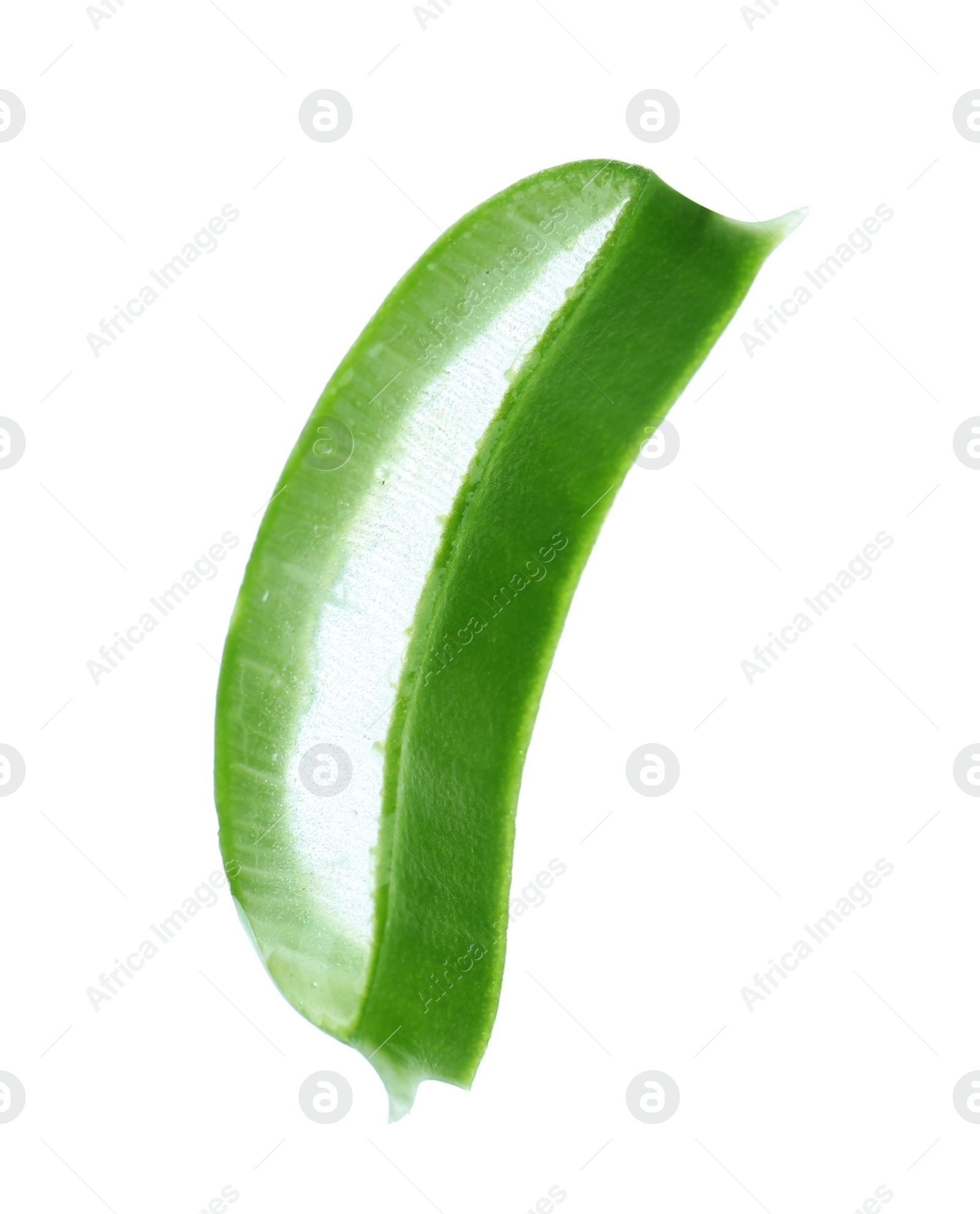 Photo of Aloe vera slice on white background