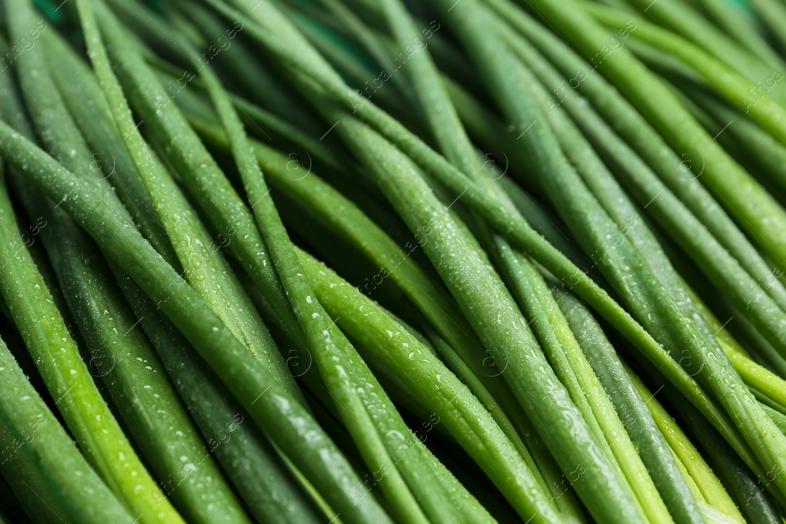 Photo of Fresh green spring onions as background, closeup