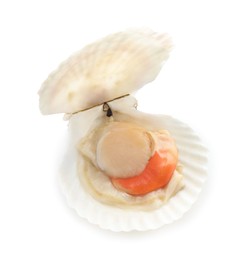 Photo of Fresh raw scallop with shell isolated on white