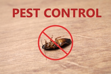 Image of Dead cockroach with red prohibition sign on wooden floor. Pest control