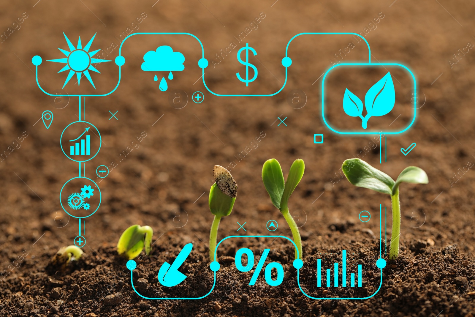 Image of Modern technology in agriculture. Green seedlings and icons