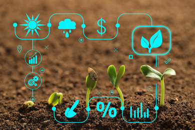 Image of Modern technology in agriculture. Green seedlings and icons