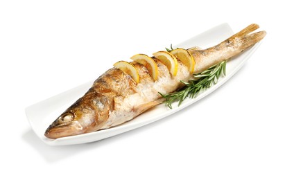 Photo of Tasty homemade roasted pike perch with rosemary on white background. River fish