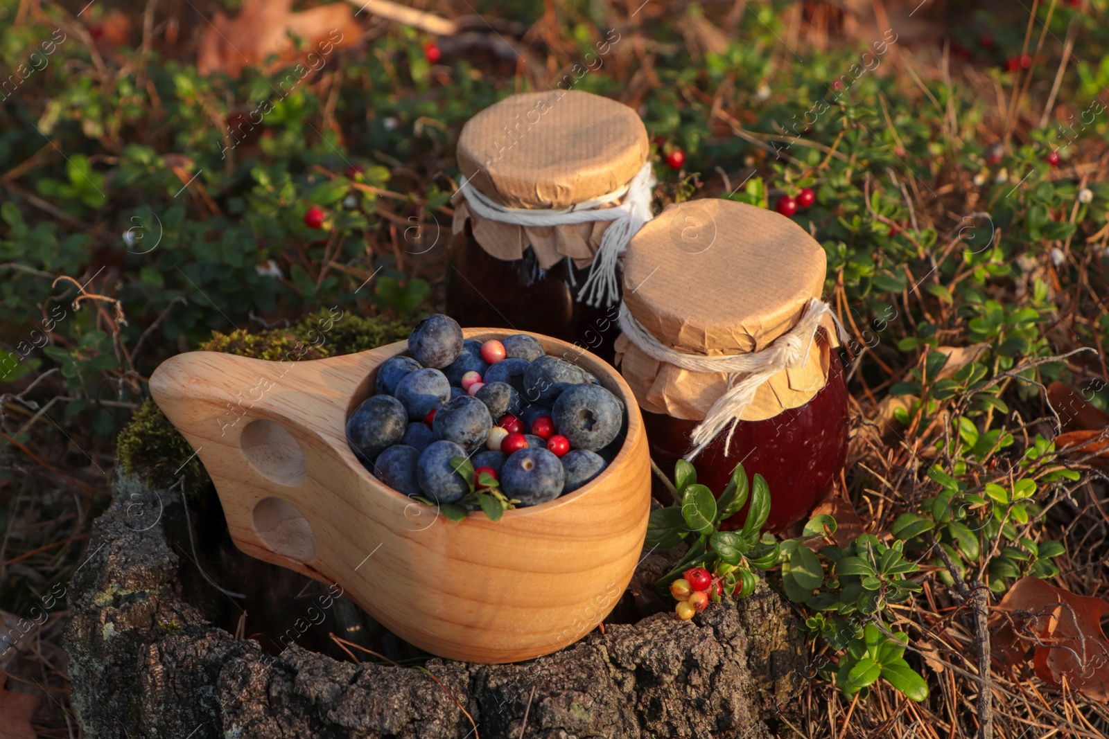 Photo of Wooden mug full of fresh ripe blueberries, lingonberries and jars with jam on stump
