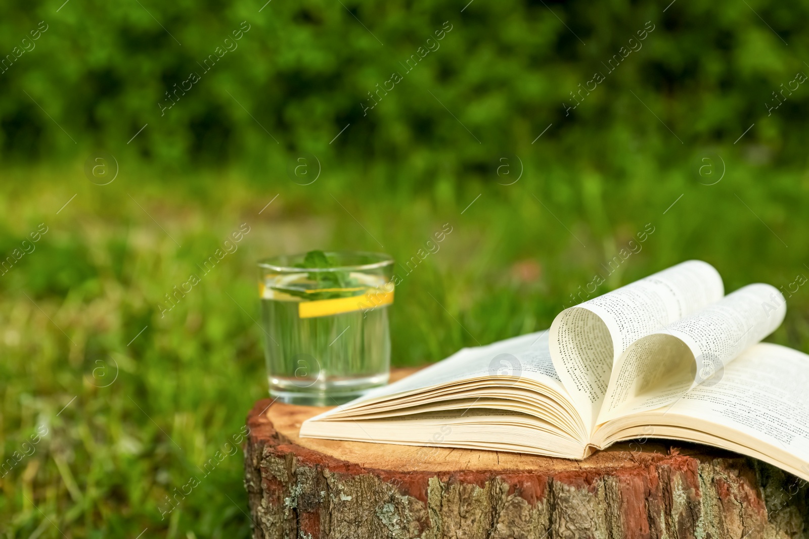 Photo of Open book near glass of water with mint and lemon on tree stump outdoors. Space for text