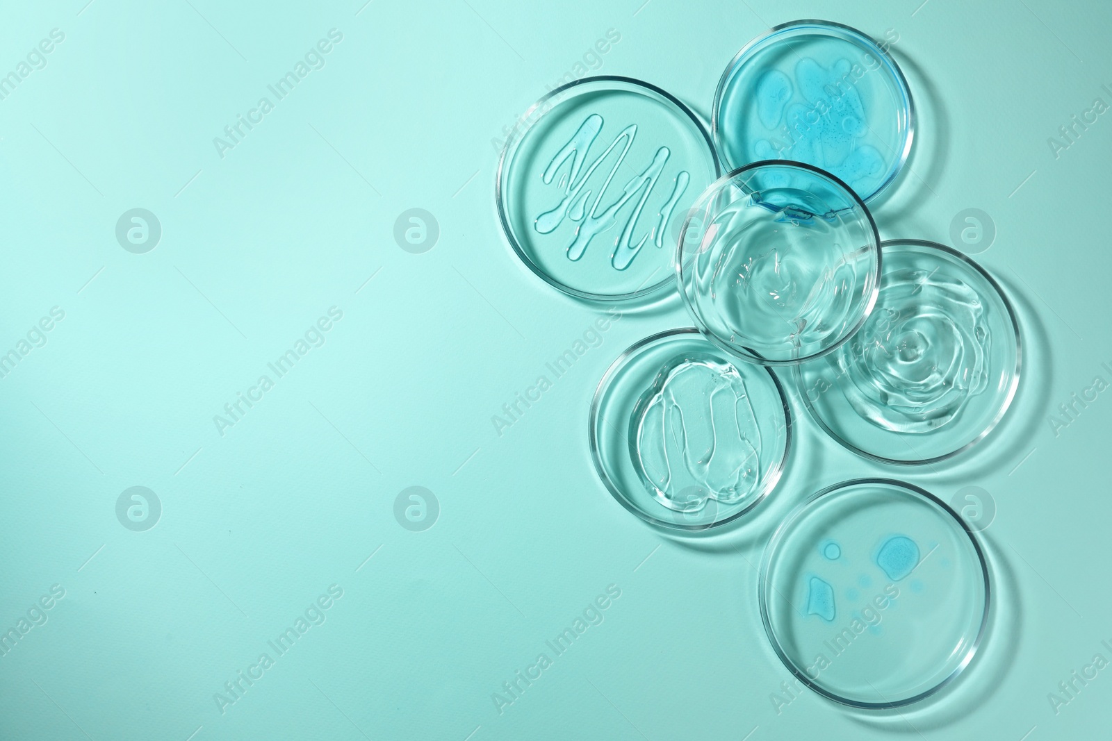 Photo of Petri dishes with liquids on turquoise background, flat lay. Space for text