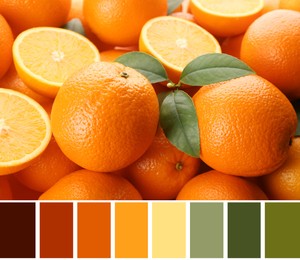 Color palette and fresh ripe oranges as background, closeup