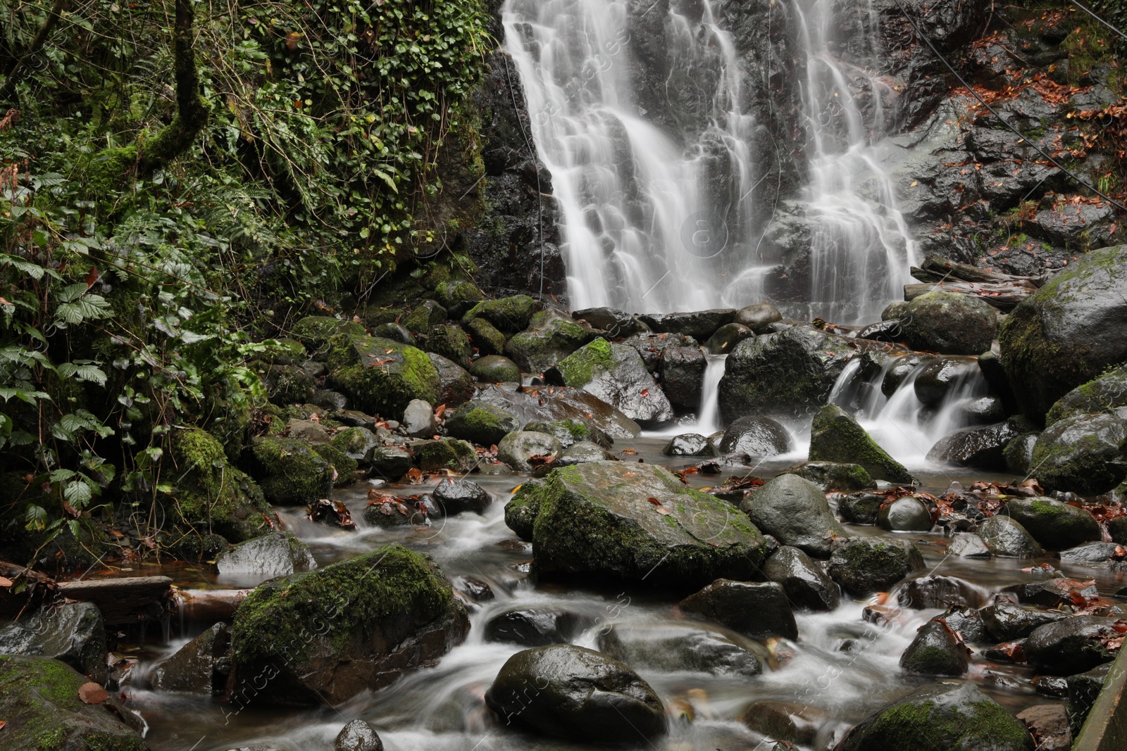 Photo of Picturesque view of beautiful mountain waterfall, green plants and rocks