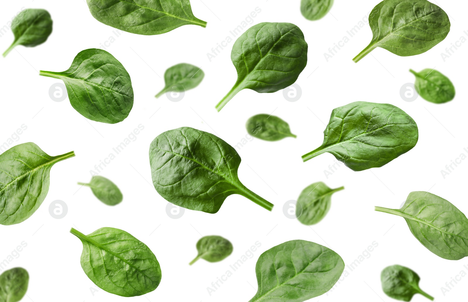 Image of Fresh green spinach leaves falling on white background