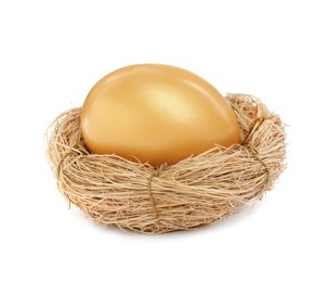 Photo of Shiny golden egg in nest on white background