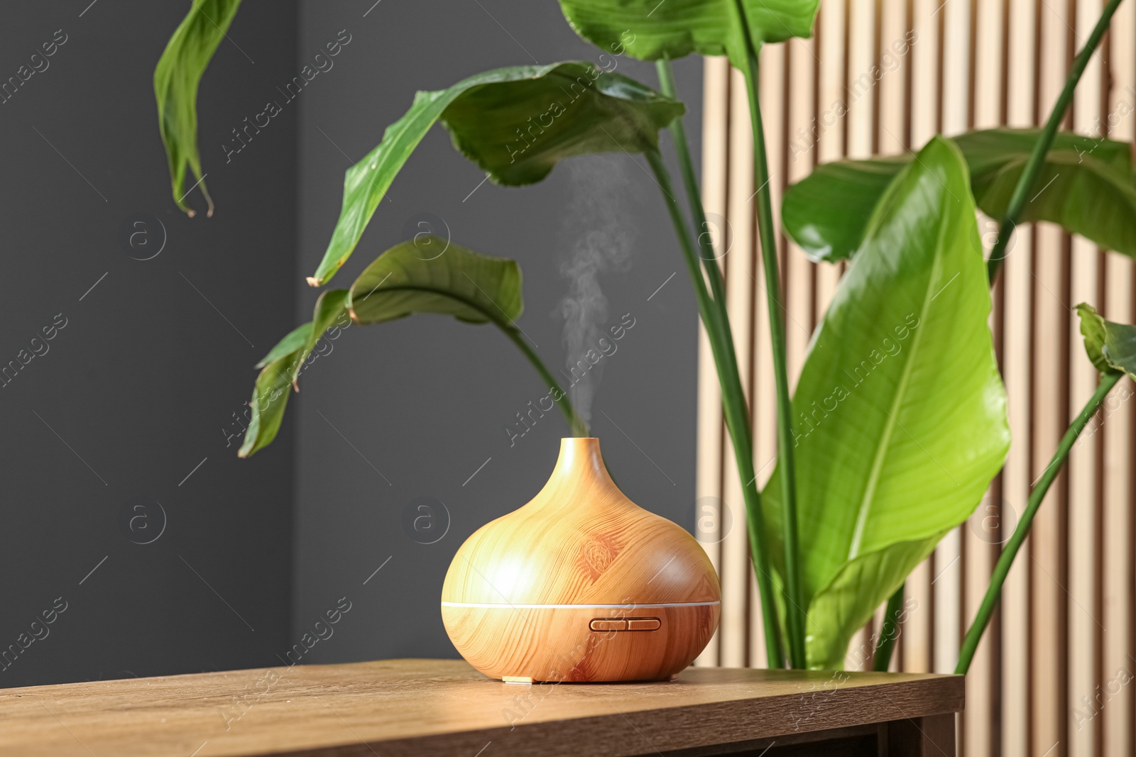 Photo of Air humidifier on wooden table near green houseplant indoors