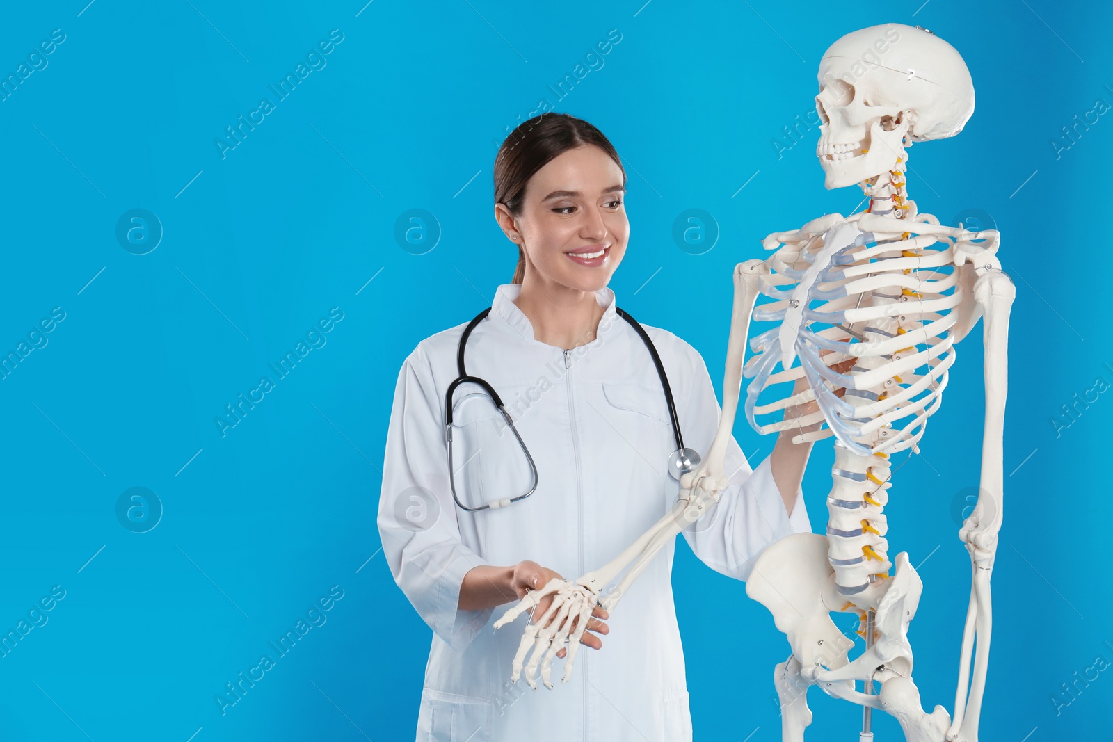 Photo of Female orthopedist with human skeleton model on blue background