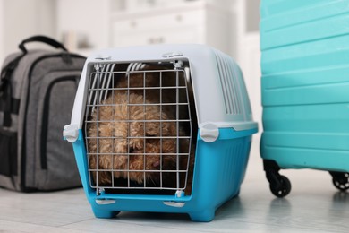 Photo of Travel with pet. Cute dog in carrier, backpack and suitcase indoors