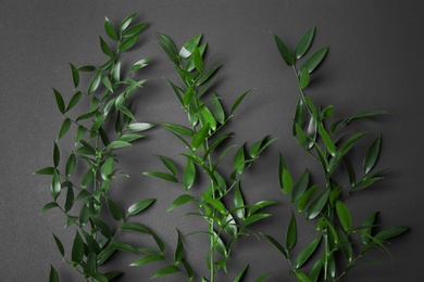 Photo of Branches with green leaves on dark background