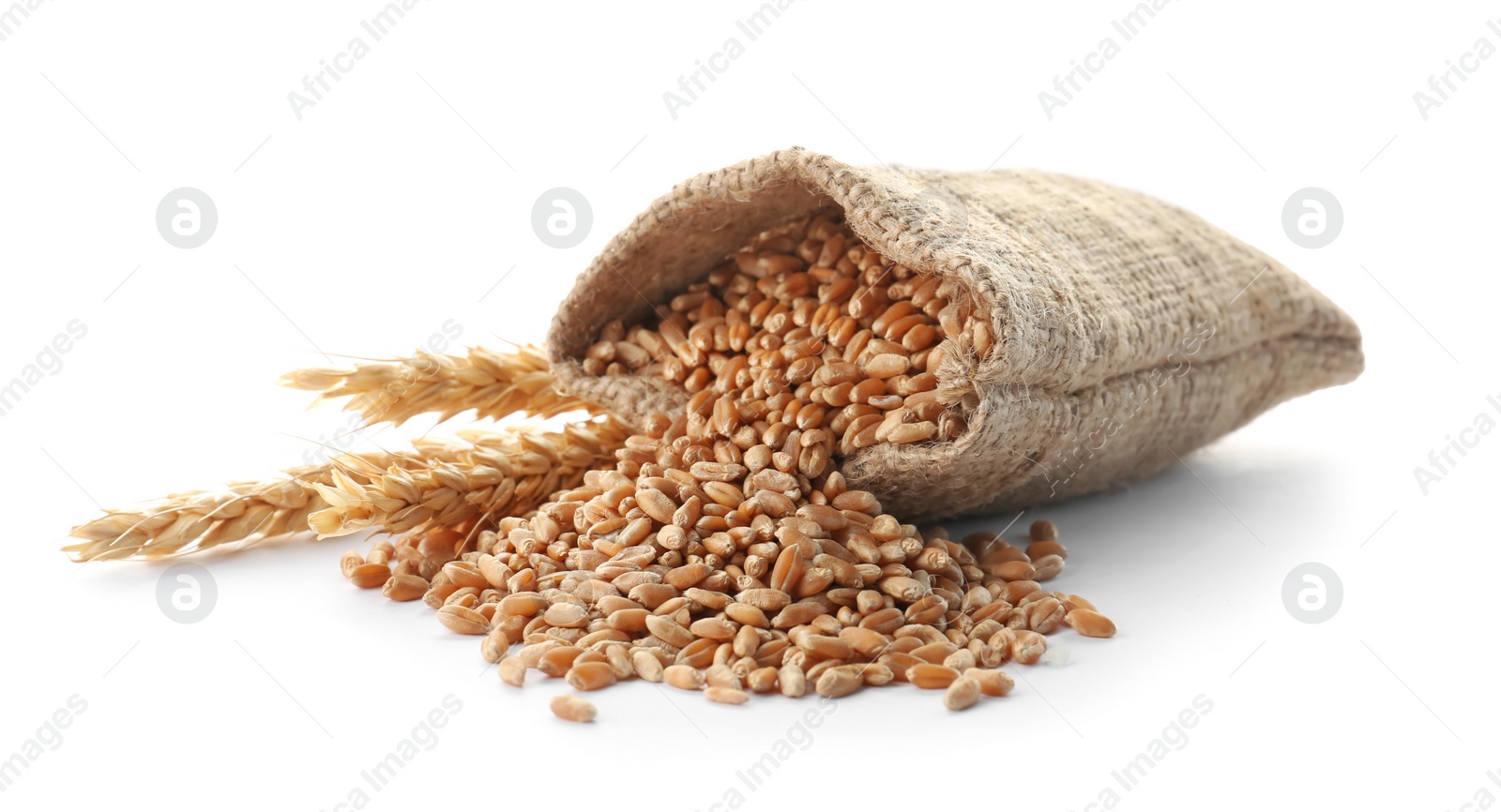 Photo of Sackcloth with wheat grains and spikelets on white background