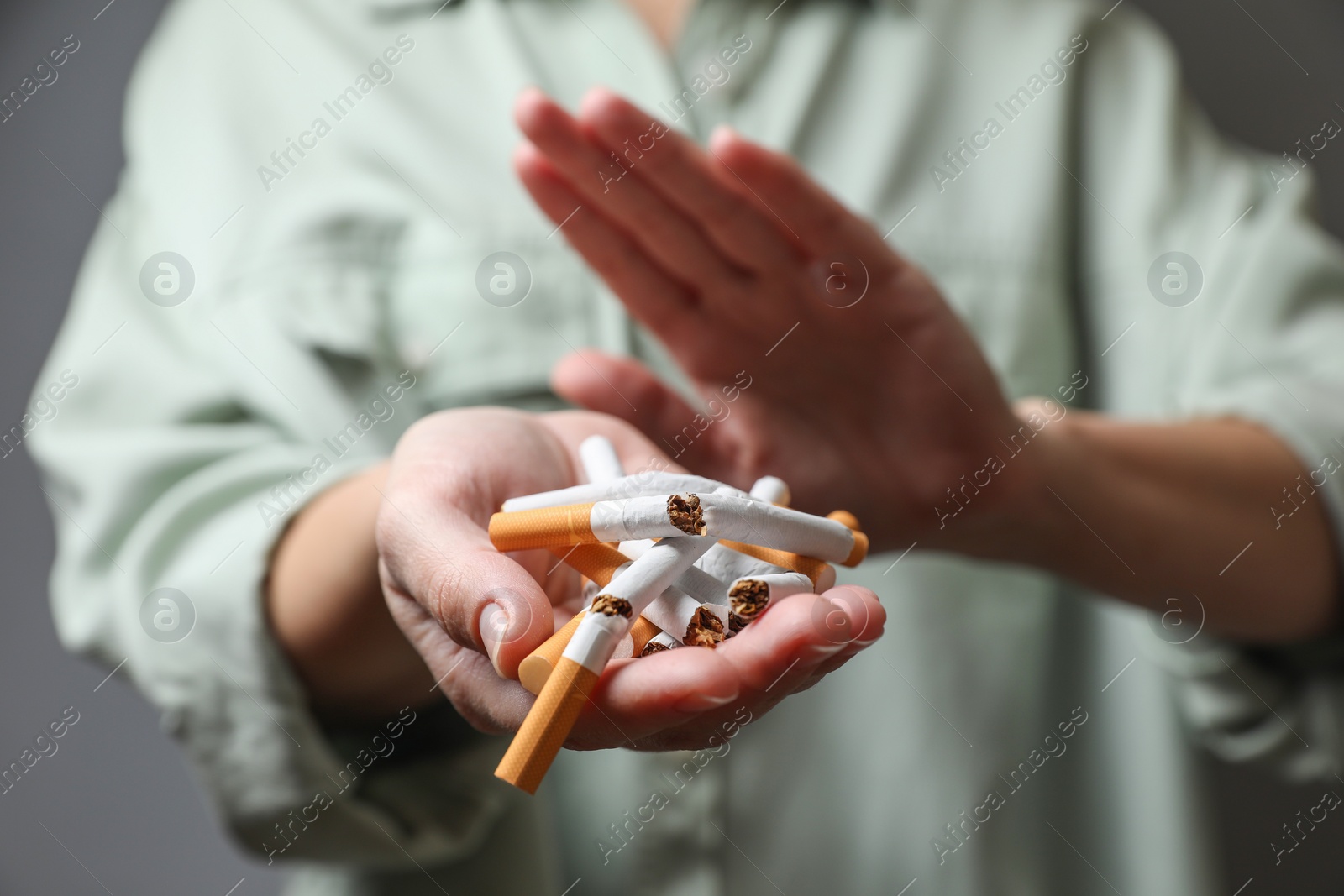 Photo of Stop smoking. Woman holding broken cigarettes on grey background, closeup