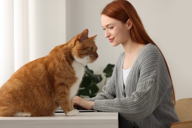 Woman working with laptop at desk. Cute cat sitting near owner at home, selective focus