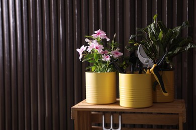 Photo of Beautiful plants and gardening tools on crate near wood slat wall