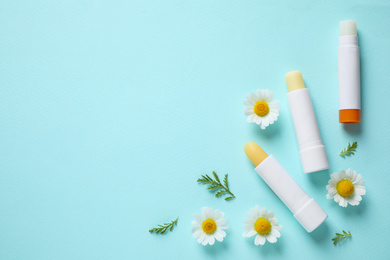 Photo of Hygienic lipsticks and chamomile flowers on turquoise background, flat lay. Space for text