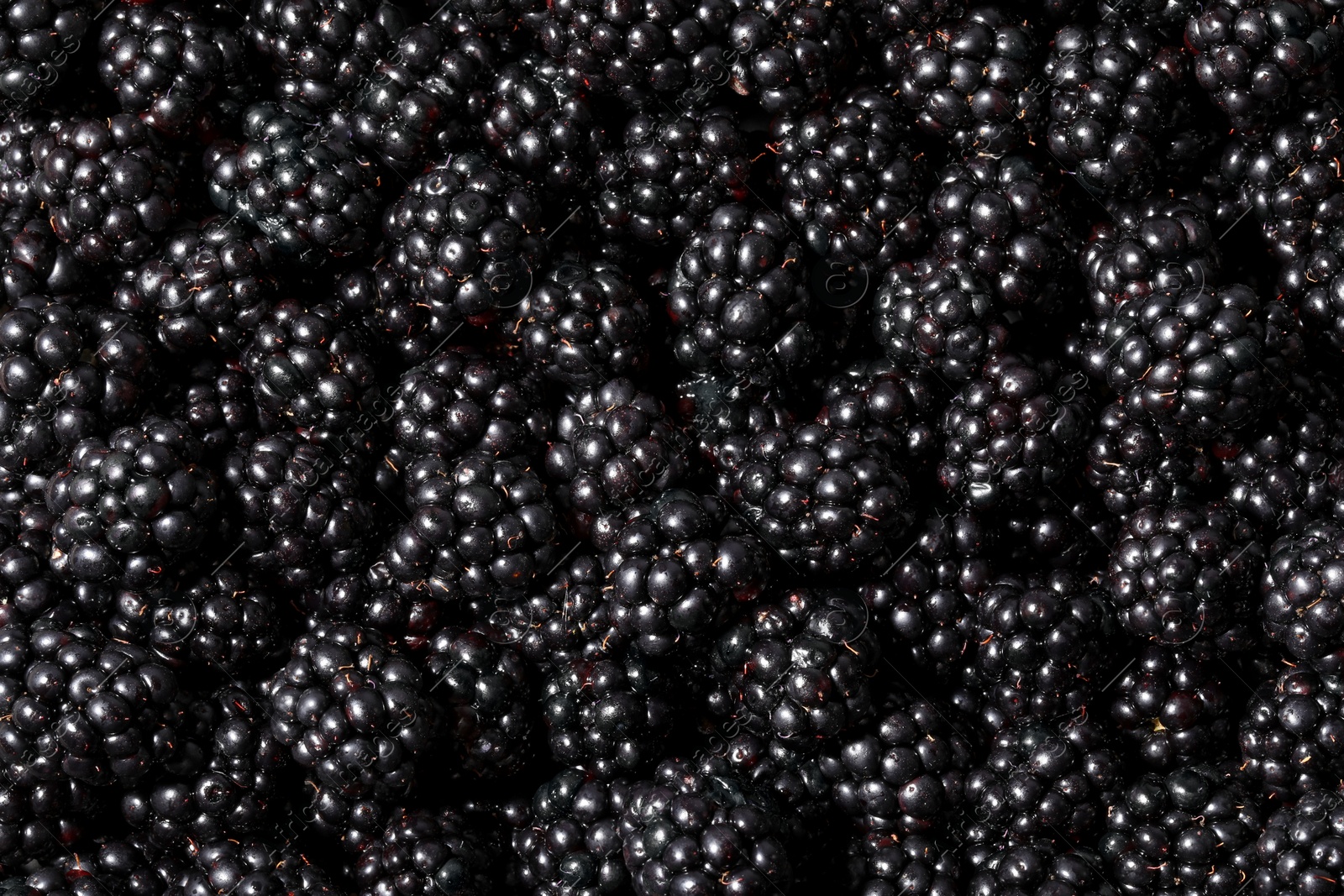 Photo of Heap of ripe blackberries as background, top view