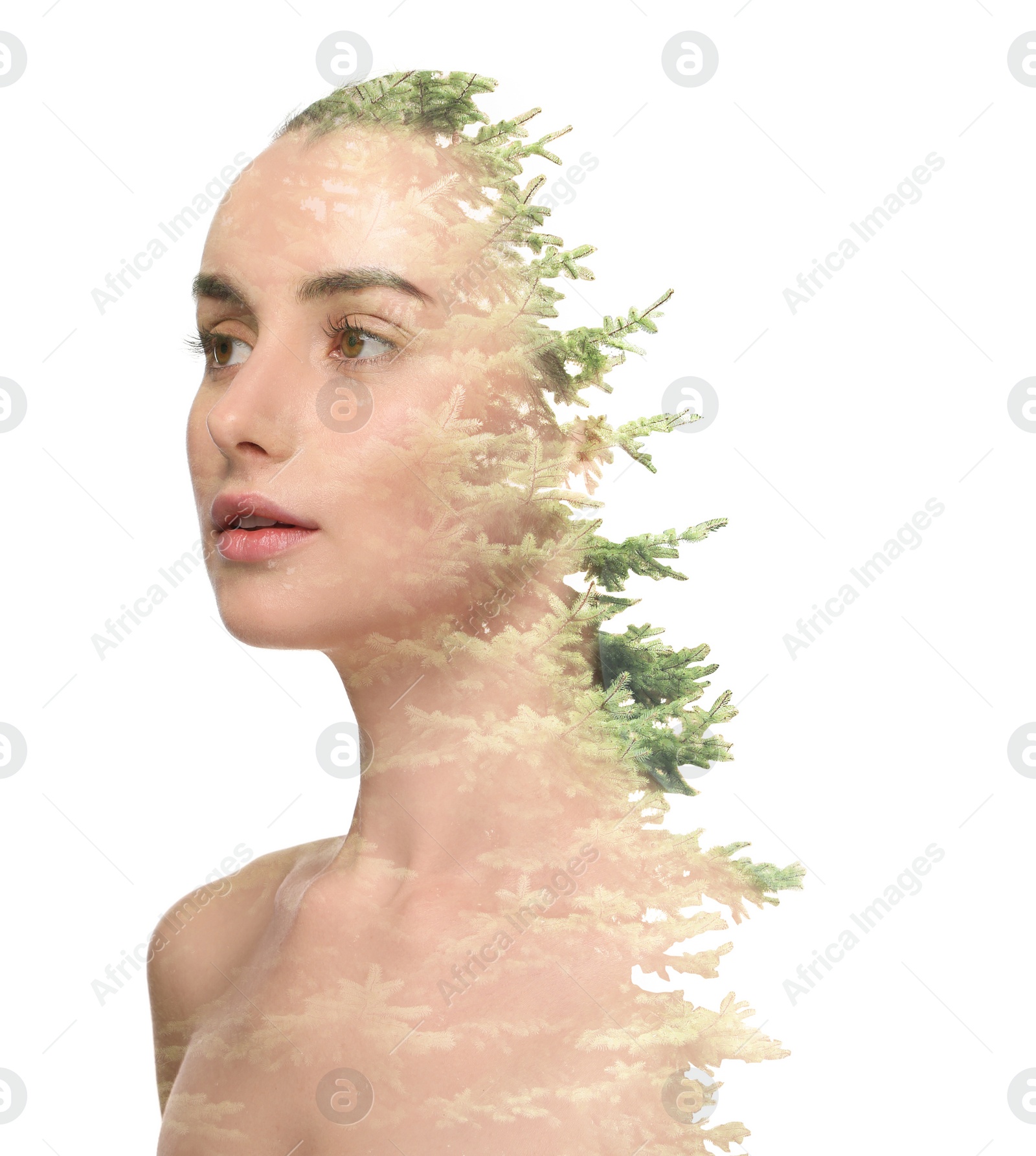 Image of Double exposure of beautiful woman and trees on white background