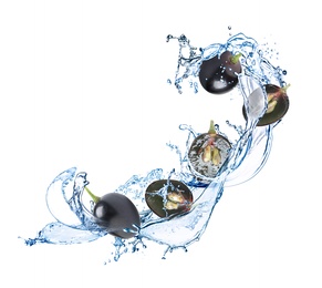 Image of Grapes with water splash on white background