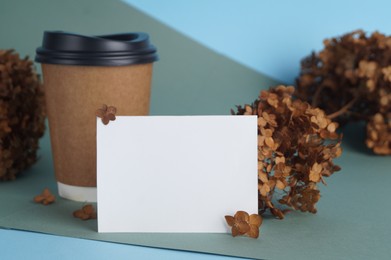 Photo of Dried hortensia flowers, blank card and paper cup on colorful background