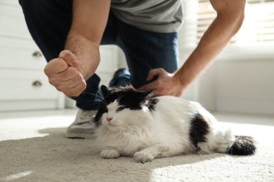 Photo of Man beating cat at home, closeup of hands. Domestic violence against pets