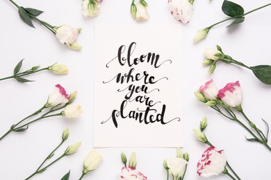 Frame of beautiful flowers and paper card with handwritten text Bloom where you are planted on white background, flat lay