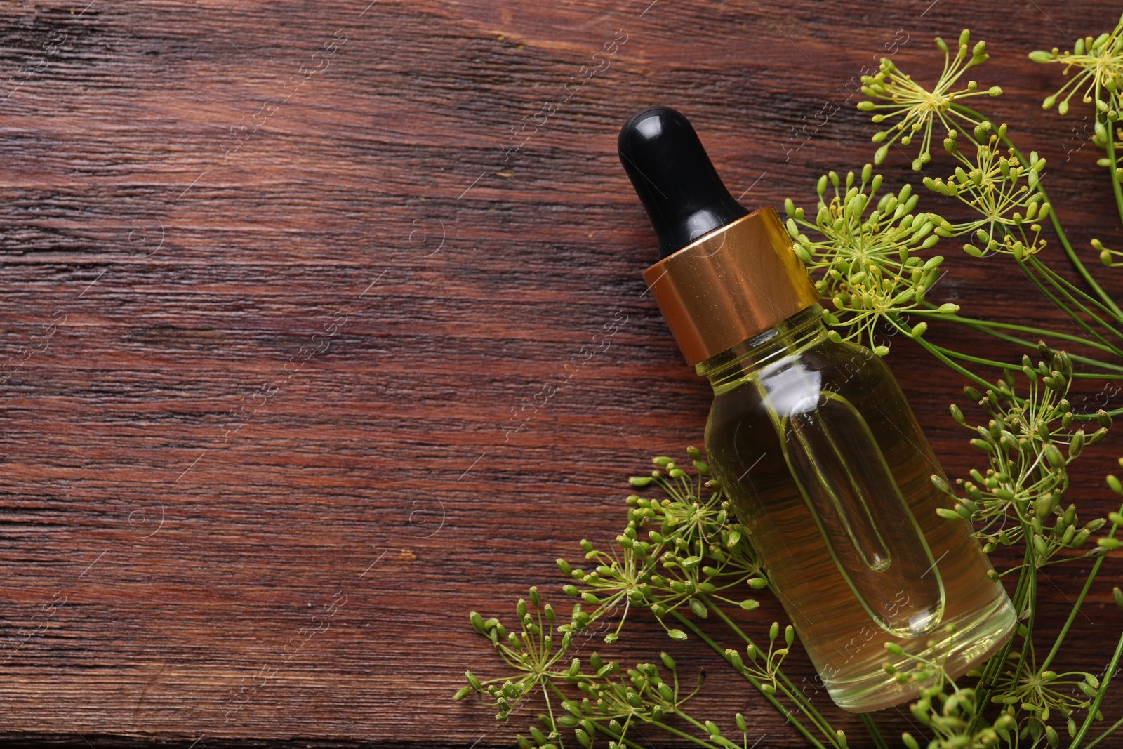 Photo of Bottle of essential oil and fresh dill on wooden table, flat lay. Space for text