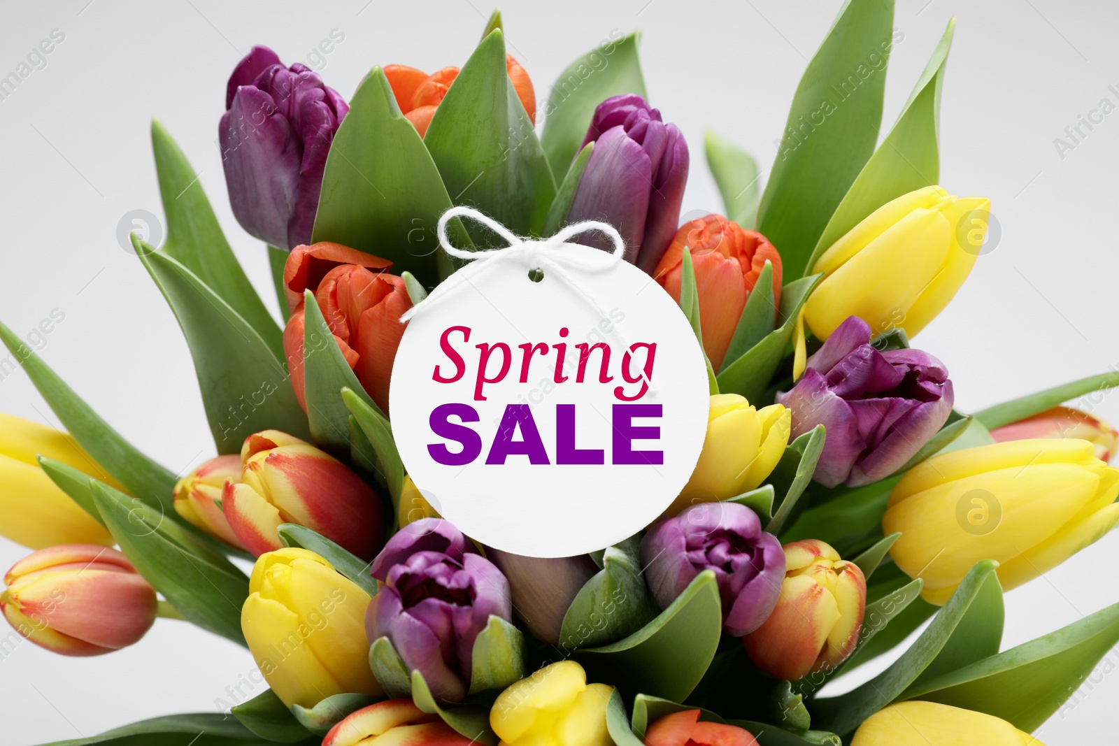 Image of Spring sale flyer design with text and beautiful tulips on light grey background