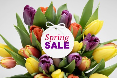 Spring sale flyer design with text and beautiful tulips on light grey background