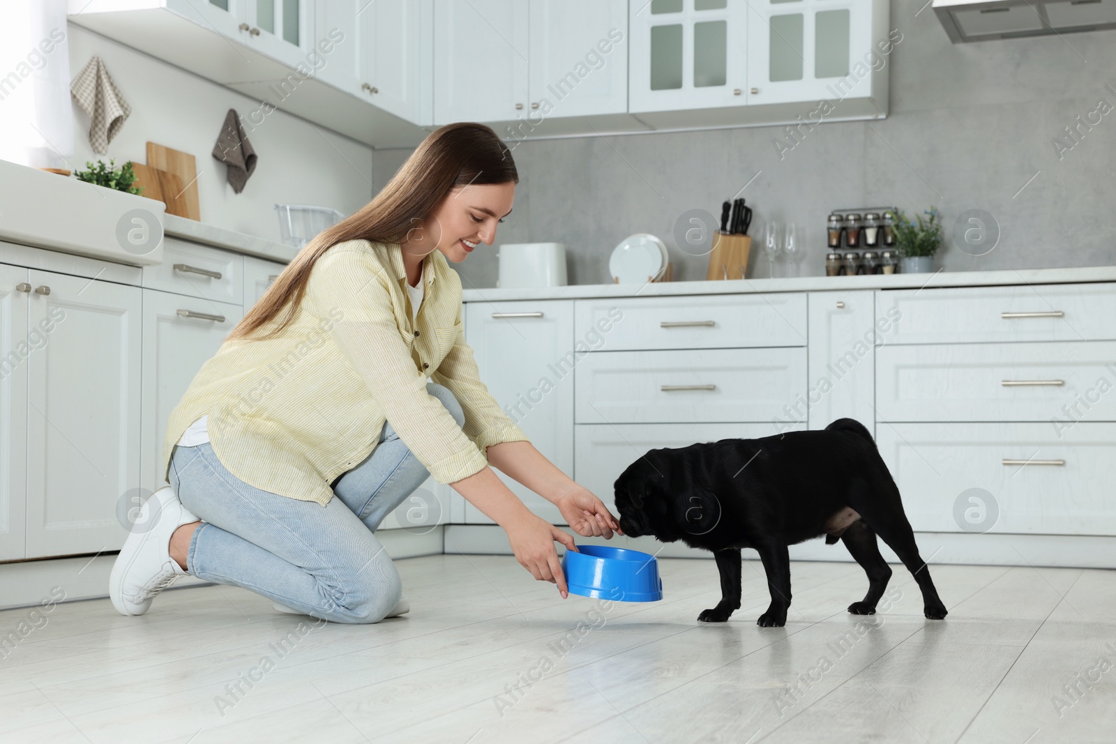 Photo of Beautiful young woman feeding her adorable Pug dog in kitchen