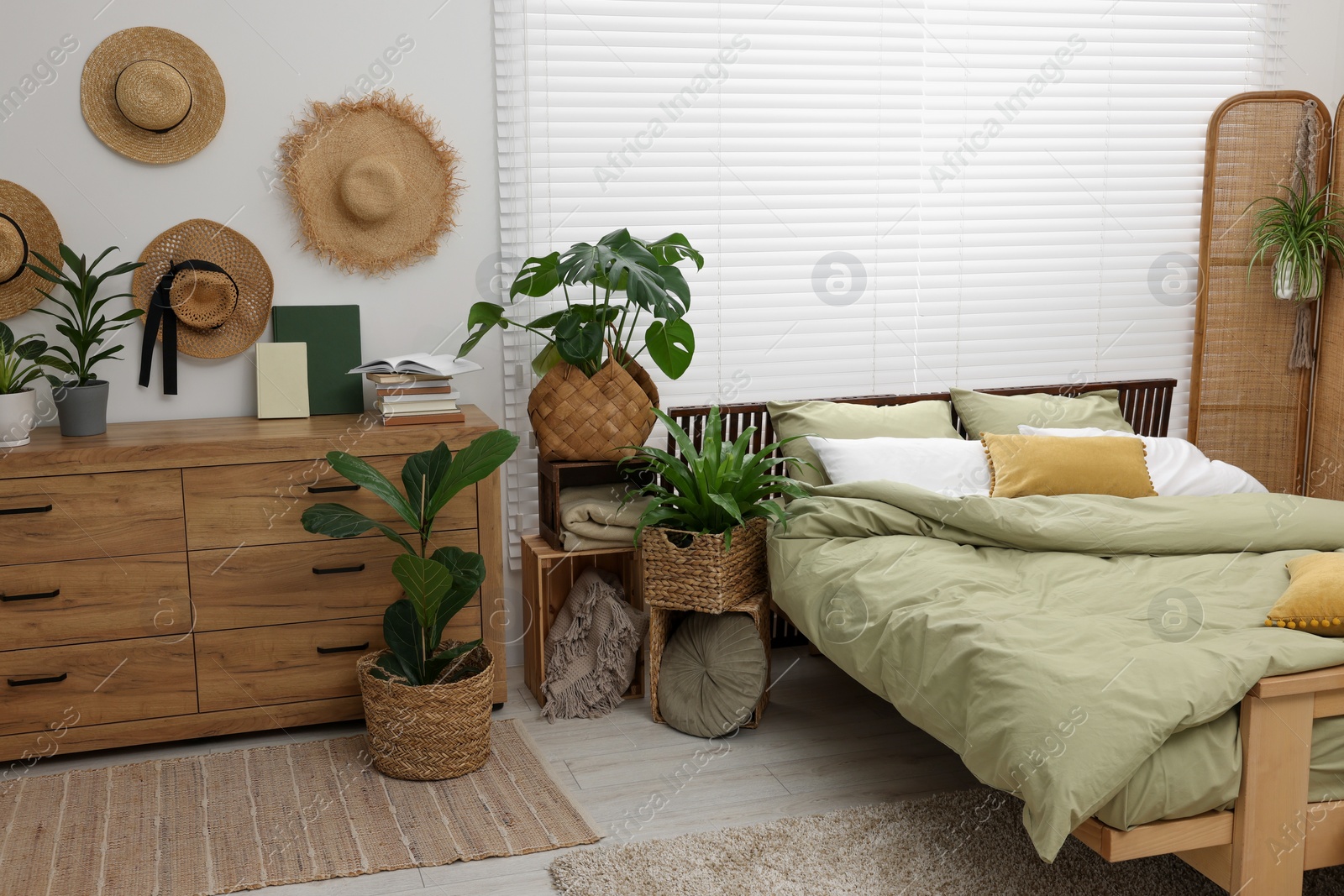 Photo of Comfortable bed and beautiful green houseplants in bedroom