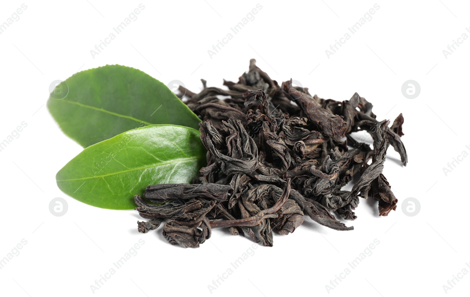 Photo of Dry and fresh tea leaves isolated on white