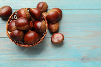 Photo of Wicker bowl with roasted edible sweet chestnuts on light blue wooden table, flat lay. Space for text