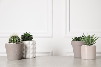 Photo of Beautiful Aloe, Cactus, Haworthia and Echeveria in pots on light table, space for text. Different house plants