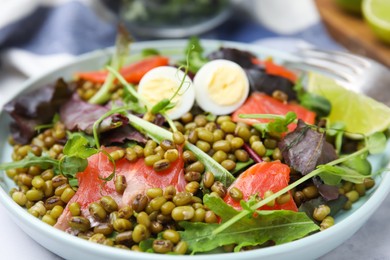 Photo of Plate of salad with mung beans, closeup view
