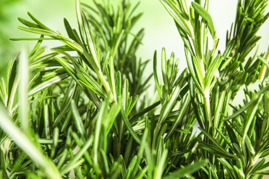 Photo of Branches of fresh rosemary on blurred green background