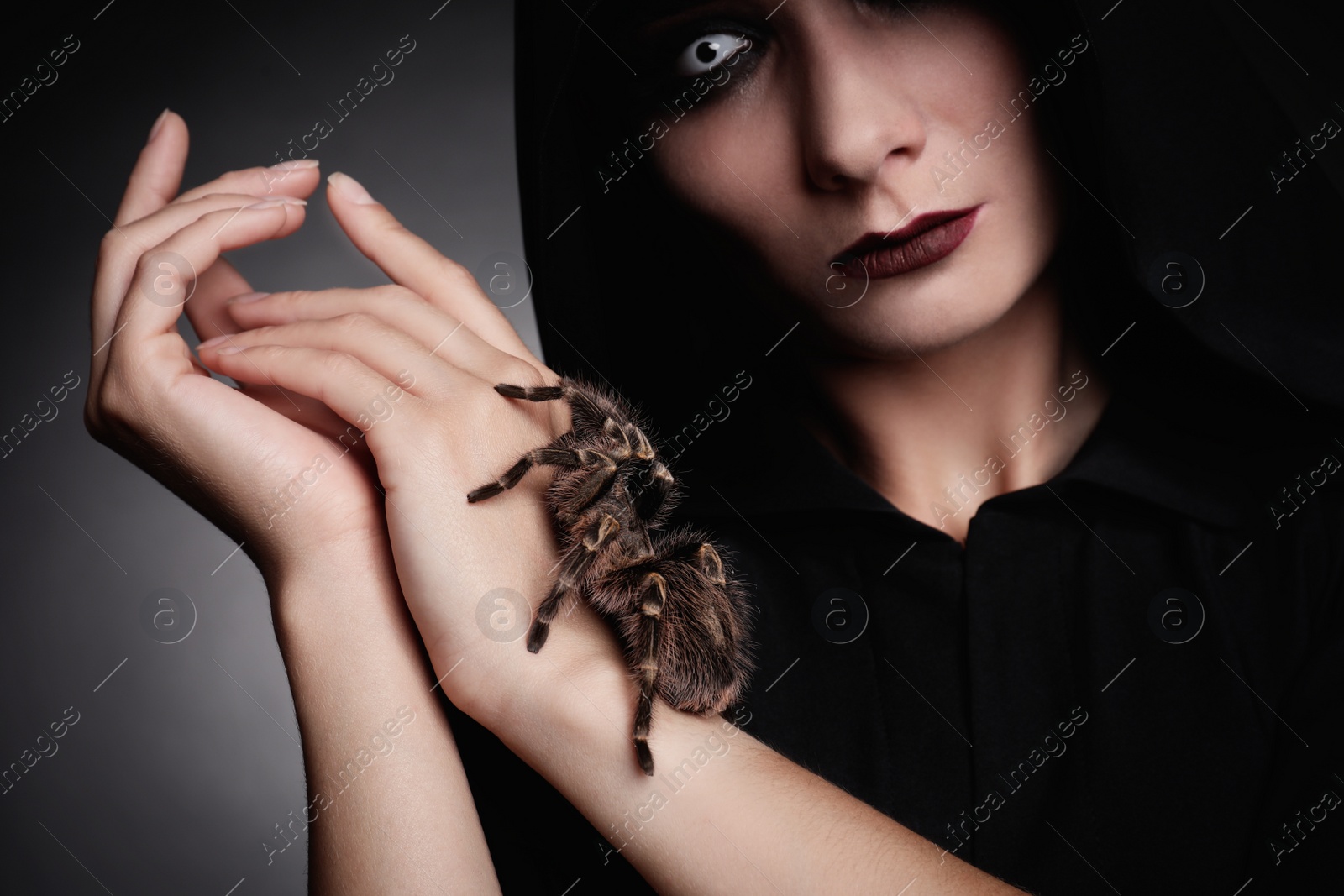 Photo of Mysterious witch with spooky spider on dark background, closeup