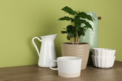 Photo of Potted plant and set of kitchenware on wooden table near green wall. Modern interior design
